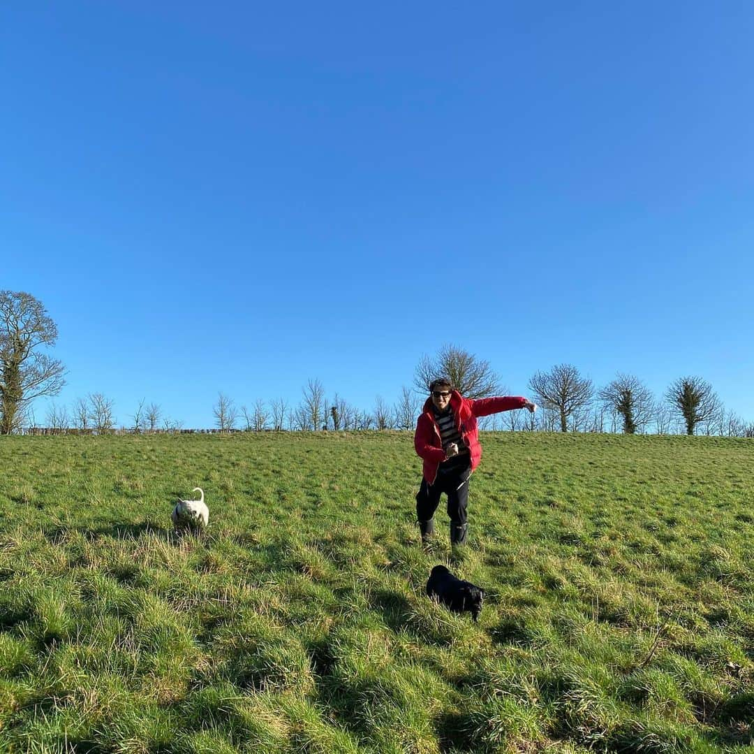 ニック・グリムショーさんのインスタグラム写真 - (ニック・グリムショーInstagram)「this is me as an angry farmer: get awwwfff my land」1月18日 21時03分 - nicholasgrimshaw