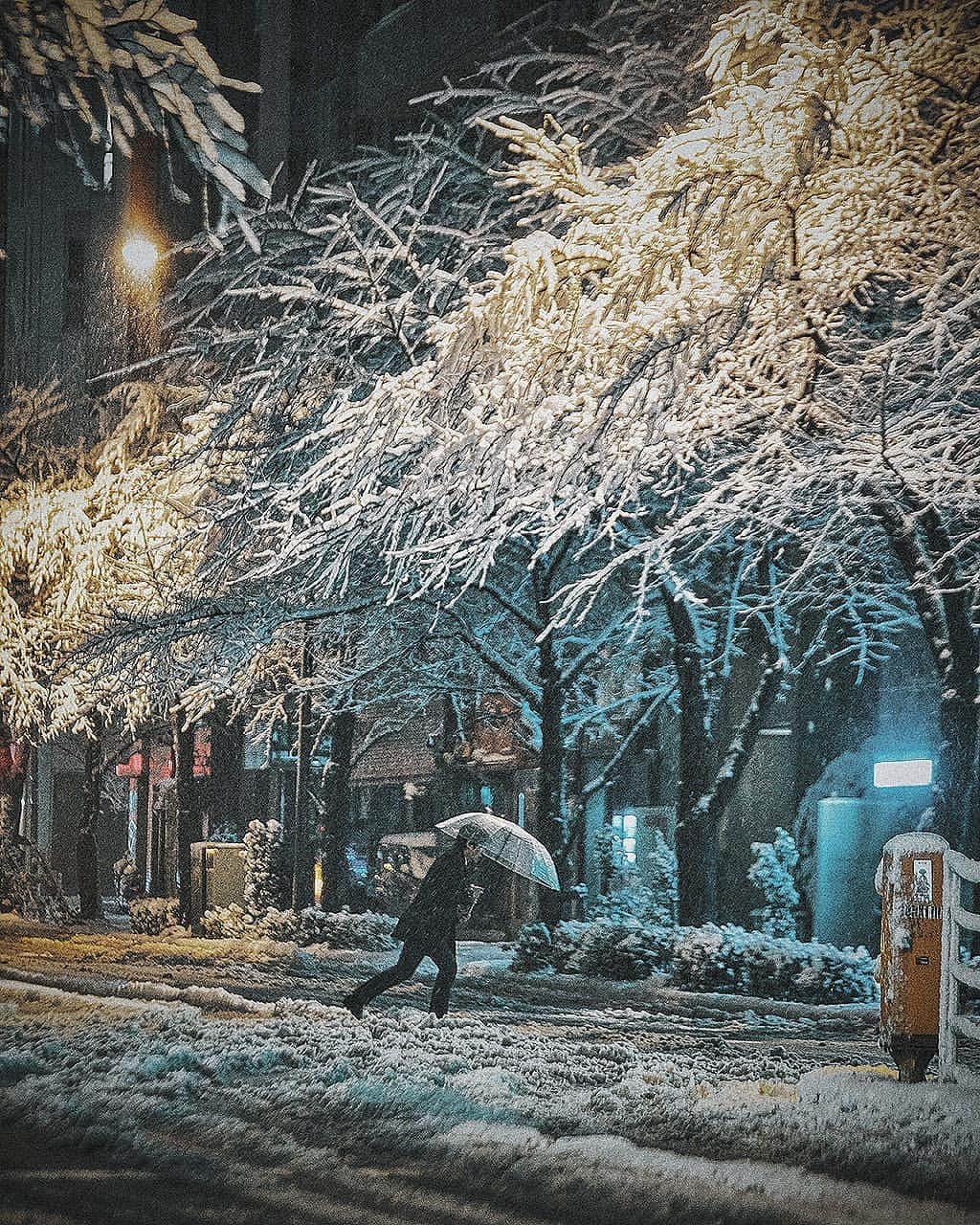 Berlin Tokyoさんのインスタグラム写真 - (Berlin TokyoInstagram)「Unusual sights of Tokyo with its familiar sites and streets dusted with snow. A rare event which transform the urban life. . . . #hellofrom #tokyo , #japan」1月18日 21時37分 - tokio_kid