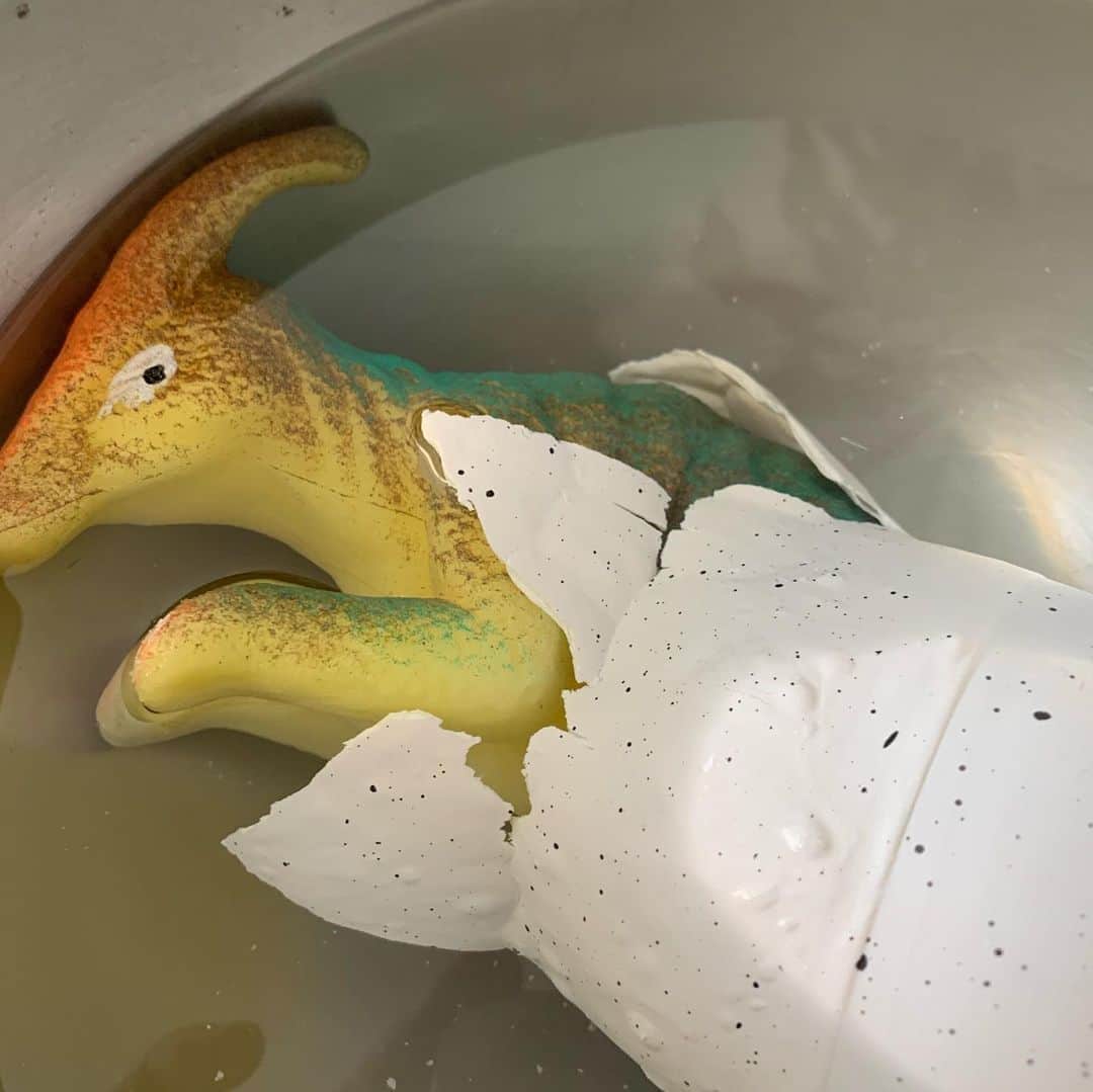 東野幸治さんのインスタグラム写真 - (東野幸治Instagram)「恐竜の誕生まであと少し。 少し難産です。」1月18日 21時44分 - higashinodesu
