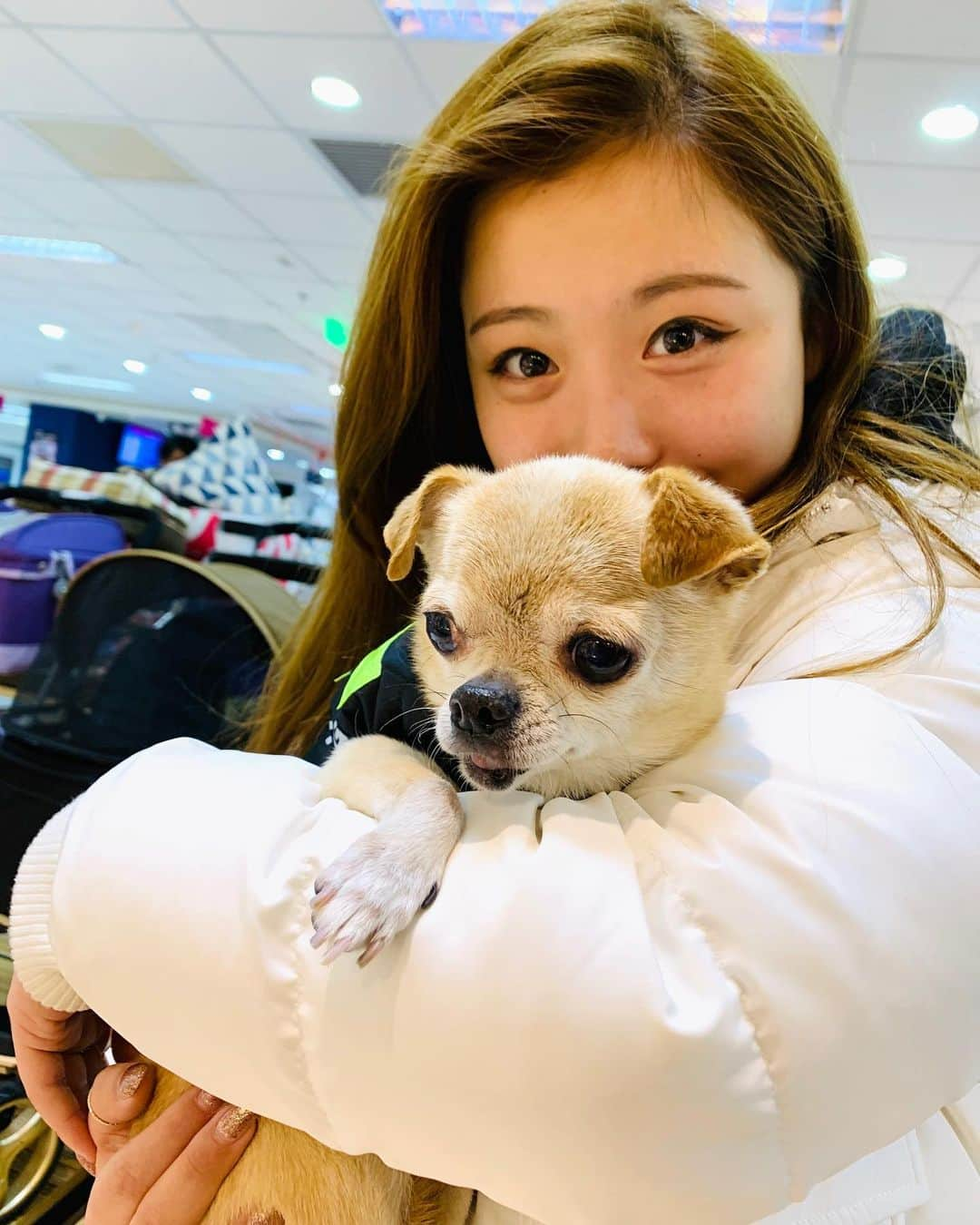 馬曉晴さんのインスタグラム写真 - (馬曉晴Instagram)「My 15 year old Puppy❤️十五歲已經係婆婆啦😂兩年無見姐姐好掛住你😘Haven’t seen you in 2 years my little grandma still doing great👍🏻」1月18日 22時13分 - maisyma1999