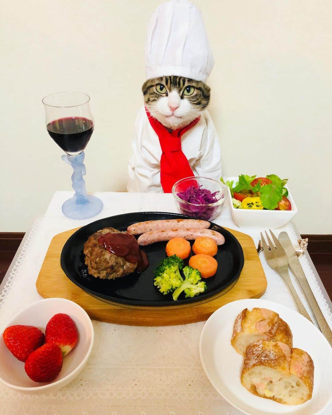 マロさんのインスタグラム写真 - (マロInstagram)「ハンバーグ🍴 Hamburg Steak🍴 ☆ いつもコメントありがとうございます😺🙏💕 返信出来なくてすみません🙇‍♀️ 全て拝見しています🐾 ☆ Thank you for your kind comments😸🙏💕 I'm sorry that I couldn't reply. ☆ #cat#cats#catsofinstagram#😻 #chef#food#hamburgsteak  #にゃんすたぐらむ#ねこ#ネコ#猫 #ねこ部#ふわもこ部#ハンバーグ #料理#カーリングシトーンズ #斉藤和義#猫のいる暮らし」1月18日 22時50分 - rinne172