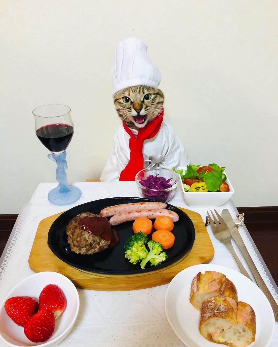 マロさんのインスタグラム写真 - (マロInstagram)「ハンバーグ🍴 Hamburg Steak🍴 ☆ いつもコメントありがとうございます😺🙏💕 返信出来なくてすみません🙇‍♀️ 全て拝見しています🐾 ☆ Thank you for your kind comments😸🙏💕 I'm sorry that I couldn't reply. ☆ #cat#cats#catsofinstagram#😻 #chef#food#hamburgsteak  #にゃんすたぐらむ#ねこ#ネコ#猫 #ねこ部#ふわもこ部#ハンバーグ #料理#カーリングシトーンズ #斉藤和義#猫のいる暮らし」1月18日 22時50分 - rinne172