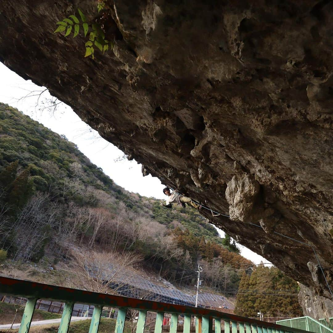 濱田健介さんのインスタグラム写真 - (濱田健介Instagram)「Today, I went to Honjo for the first time. I send Tobu ga gotoku 12d and Hotaru 13c. Both were very nice routes. photo is Hotaru. 昨日は指皮回復のためレスト。 今日は本匠へ。まだテーピングは外せないけど、被りのルートなら何とかなるかな、と思って。 アップで3本ほど登って、飛ぶが如く 12d と 蛍 13c を登った。どちらも一撃は出来なかったけど、まずまずいい登りが出来たので良かった。 本匠はお初やったけど、面白かった。やっぱ石灰岩はいいなー。 写真はホタル。ニーバーばち効きなので手放せます。 @rockmasterhq  @unparallelup  @organicclimbing  @nogradjustfeeling  @camp1889」1月19日 0時00分 - hamaken87