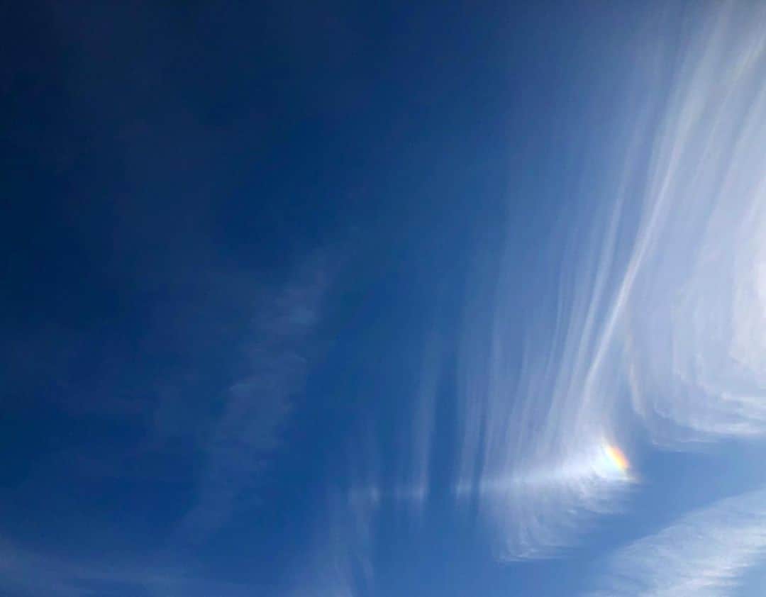 前田彩名さんのインスタグラム写真 - (前田彩名Instagram)「生まれて初めて、 小さいけれど彩雲を見つけました☺️。 ストレイテナーの曲を聴いて 想像しまくっていたのだけど、 写真よりも実際に見た方が、もっと綺麗。  もっと大きく見えることもあるようですが、ささやかだからこそ見つけた喜び。  良いお天気の日曜日、嬉しいな◎  これ、もしかしてそうかな？と思いながら ♪彩雲 のプレイボタンすぐ押した。笑」1月19日 11時10分 - ayana.maeda