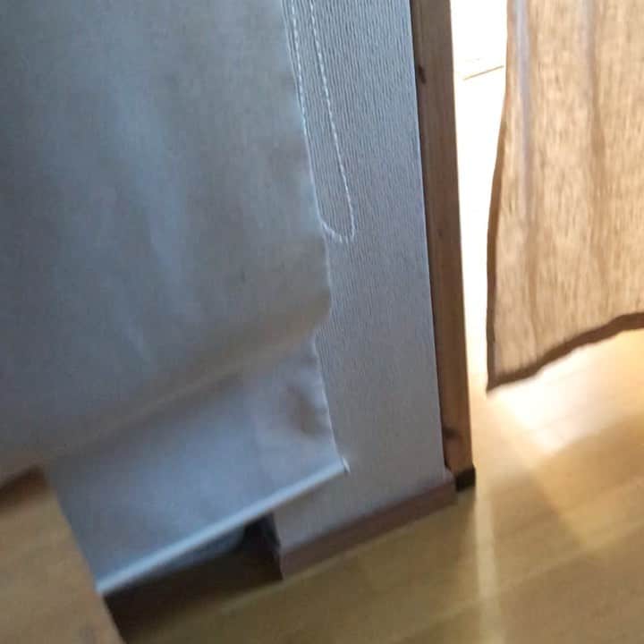 マル子のインスタグラム：「大好きな骨🦴  でもいつもより大きくて食べられない😭  #ぴーぴーちゃん  #マル子  #この後父ちゃんが切ってくれました #獣感ゼロ  #野生では生きていけないタイプ」