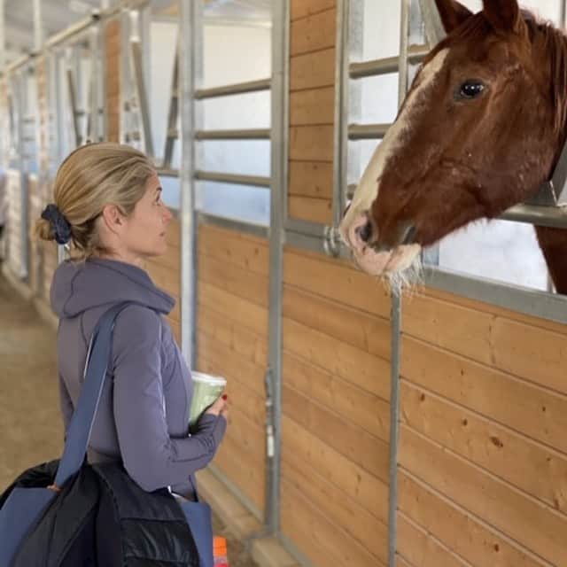アビー・ワンバックさんのインスタグラム写真 - (アビー・ワンバックInstagram)「My new favorite spiritual guides: Wyatt Webb and his horses at @miravalresorts  #MiravalPartner」1月19日 10時42分 - abbywambach