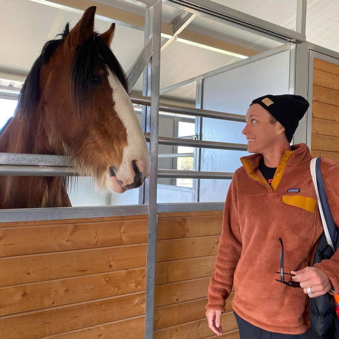 アビー・ワンバックさんのインスタグラム写真 - (アビー・ワンバックInstagram)「My new favorite spiritual guides: Wyatt Webb and his horses at @miravalresorts  #MiravalPartner」1月19日 10時42分 - abbywambach