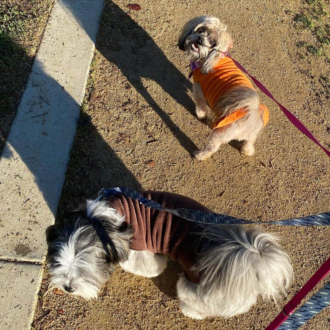 ロゼリン・サンチェスさんのインスタグラム写真 - (ロゼリン・サンチェスInstagram)「Daddy @ebwinter and Archie! Bonding 😉😂🙏 #parktime」1月19日 2時24分 - roselyn_sanchez