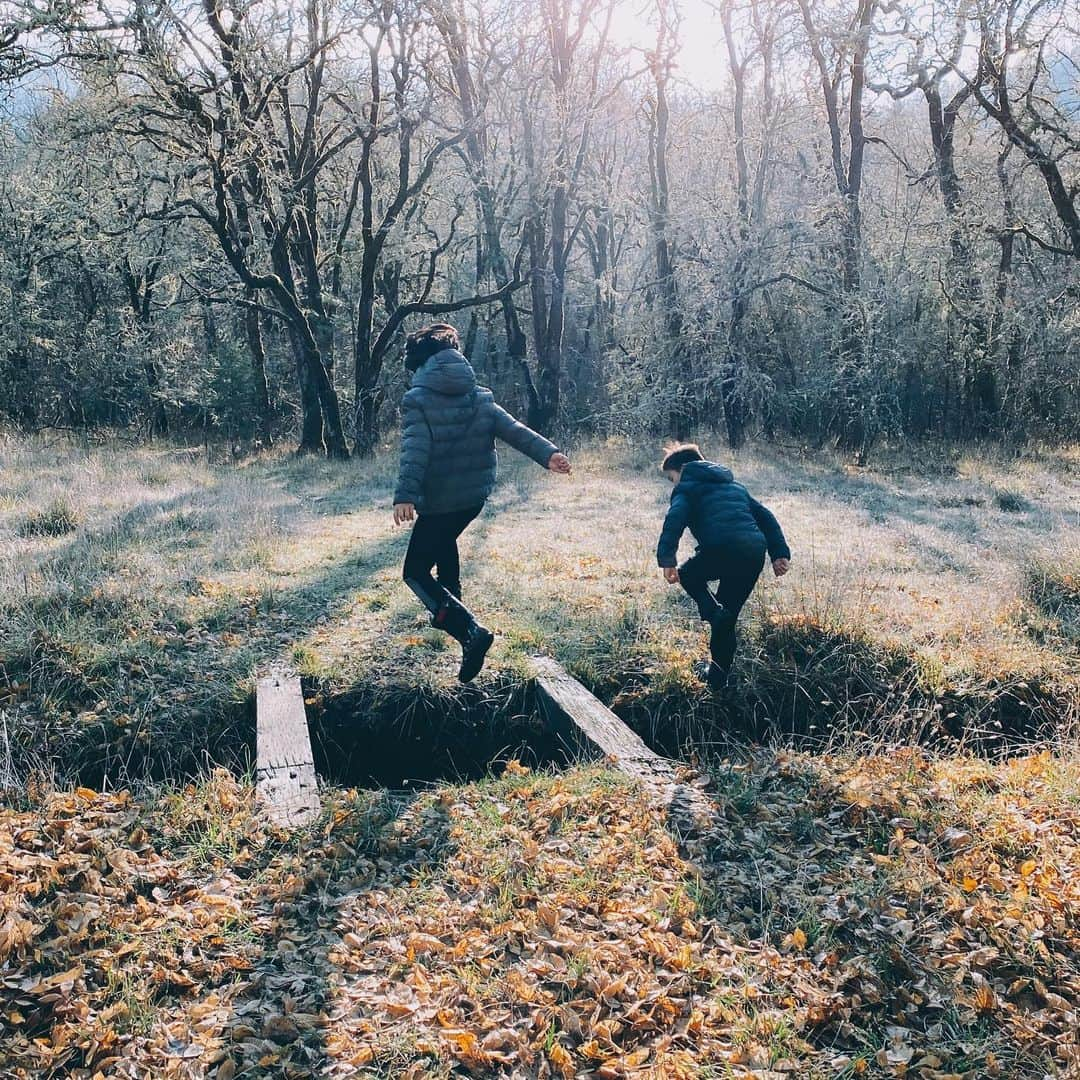 Daniel Waldronさんのインスタグラム写真 - (Daniel WaldronInstagram)「Did a little poking around in the woods.」1月19日 2時44分 - dew