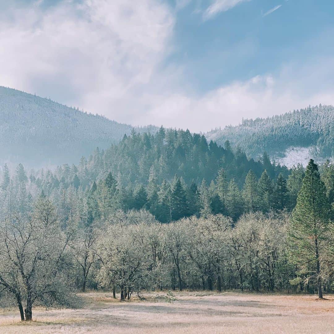Daniel Waldronのインスタグラム：「Did a little poking around in the woods.」