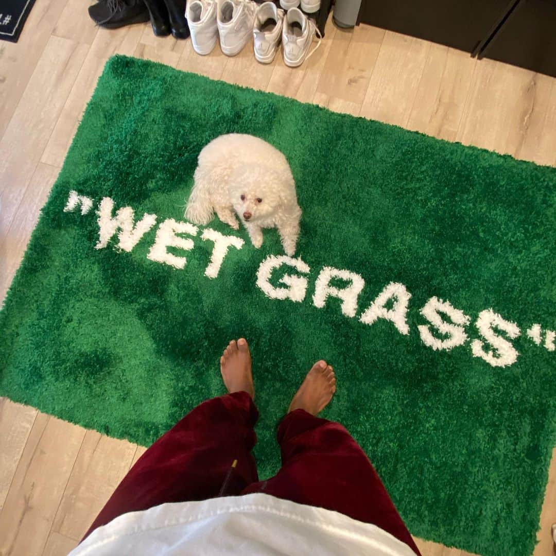 Lil Buckのインスタグラム：「@coco_le_fluff I know what you might be thinking.... don’t even think about it. 🙅🏽‍♂️💩🐩」