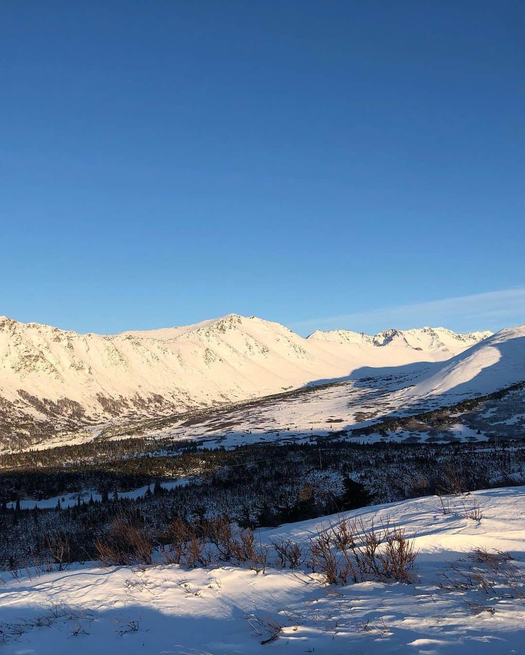 ジェイミー・アレクサンダーさんのインスタグラム写真 - (ジェイミー・アレクサンダーInstagram)「#Alaska !! You’re so beautiful!! And COLD 🥶 😂🙏🏻😍」1月19日 11時16分 - jaimiealexander