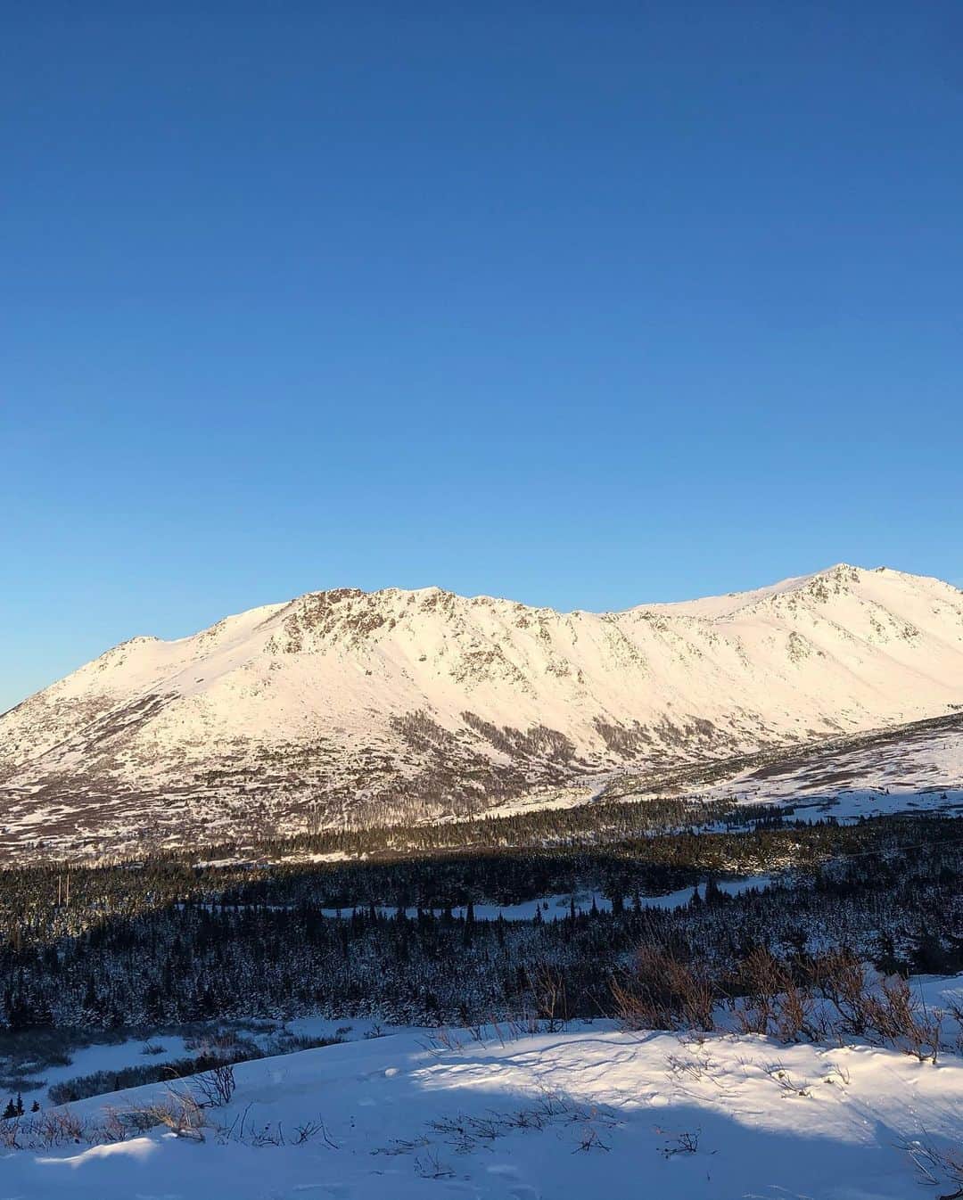 ジェイミー・アレクサンダーさんのインスタグラム写真 - (ジェイミー・アレクサンダーInstagram)「#Alaska !! You’re so beautiful!! And COLD 🥶 😂🙏🏻😍」1月19日 11時16分 - jaimiealexander