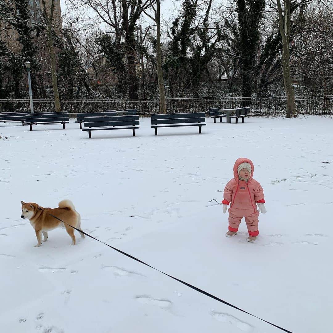 大塚良子さんのインスタグラム写真 - (大塚良子Instagram)「Jan.18.2019  29℉/−2℃  it's snowy day! 雪の日は写真日和、 今年は自分の作品も発表したいし頑張ろう。」1月19日 8時16分 - ryokokonami