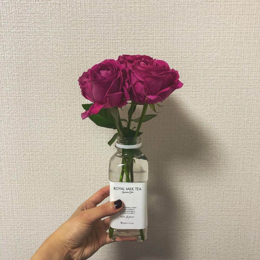 平川はる香のインスタグラム：「. 公演で頂いたお花まだまだ元気に咲いてます🙆🏻‍♀️ フューシャピンクのばら。かわいいな。 . . 大千秋楽の翌日から、この1週間は本当にダラダラと無気力に過ごしてしまいました🤢 お仕事以外の時間はずっとベッドにいた。笑笑 お陰で筋力も体力も落ちたから今週からはちゃんとする。 年末からずっとやりたかった部屋の片付けをしたりして、徐々に日常を取り戻しています。 なかなか、身体から抜くのが大変な公演でした。 . . やっと2020年だなぁと実感が出てきたので、今年の目標を考えていて。 今年はホンモノになりたいなと思っています。 才能とか素質とか、頼りないものではなくて、消えてなくならないホンモノを手にしていく年にしたいです。 後は、どんなことも楽しめる余裕を持つ。 忙しいときこそ、面白がる余裕を持つ。 そして、日々の日常や当たり前を丁寧に過ごしたいです。 1日に1つくらいは小さなはぴねすを見つけたいな☺︎ . 今年も演劇とたくさん触れ合えますよう。 みなさま宜しくお願いします。 . . . #ばら#フューシャピンク#お花のある暮らし」