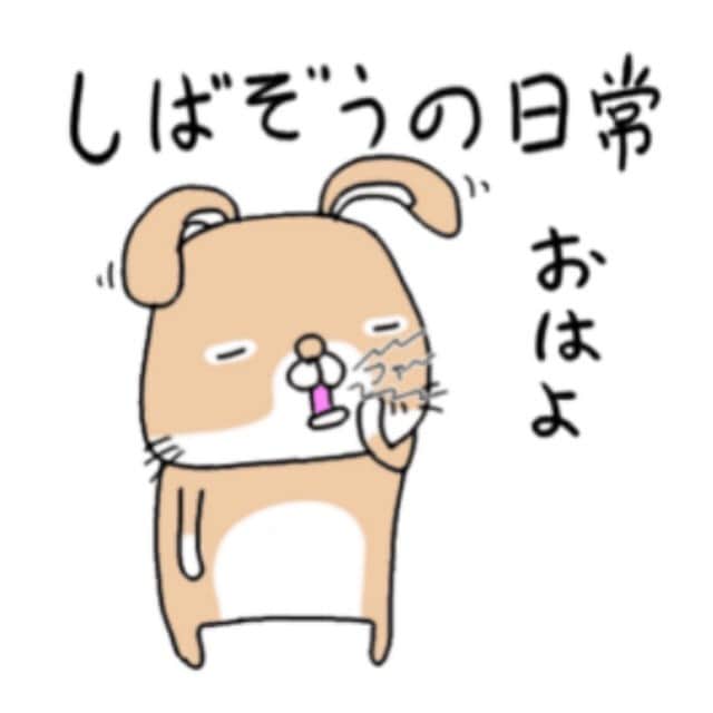 bunny & 2 catsさんのインスタグラム写真 - (bunny & 2 catsInstagram)「Hi🐰💚 #illustration _ Shibazou🐰 and Enzou🐱 _ 💎Creator @ohuro_suki 💎 _ 🐾いつもサプライズでスタンプを作って下さる @ohuro_suki さん😍。 との事で、しばの新しいスタンプが出来ました😙✨。 内容が日常で使いやすいです！！個人的に“ガビ〜ン”とにんじんカー🥕に乗っているしばぞうさんがツボです🤣👍🏻✨✨！めちゃめちゃ可愛いです😍❤️。 ✅ストーリーにURLを貼ったので見てみてくださいね！ ✅検索ワード 🐾“zoub”でzoubrothersで出てきます👌🏻！ 🐾タイトルは『zoubrothersしばぞうの日常』です♪ _」1月19日 19時25分 - zoubrothers