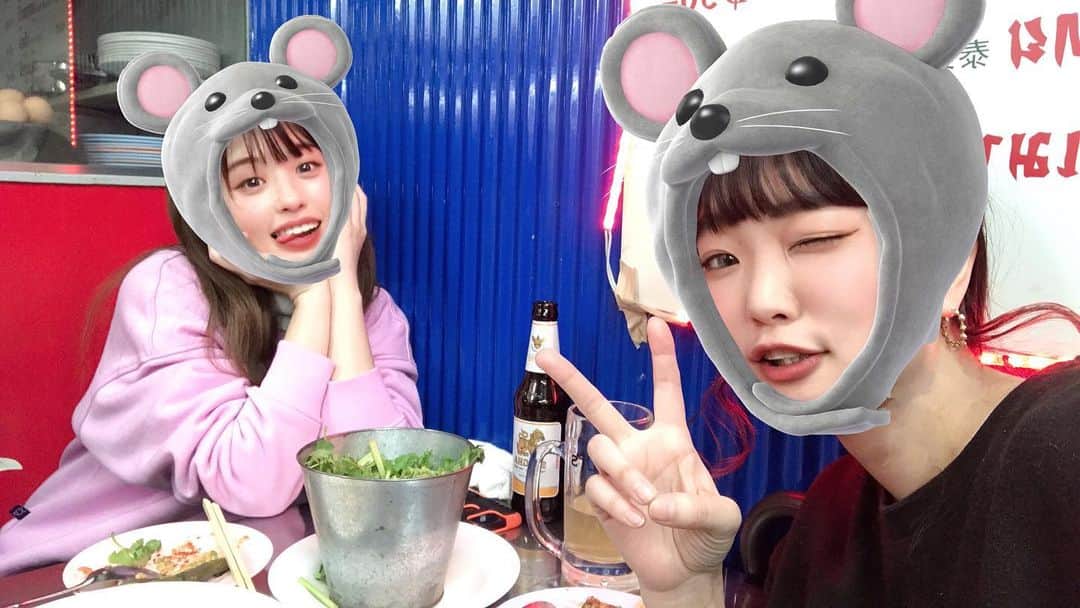 Yun chiさんのインスタグラム写真 - (Yun chiInstagram)「🍻パクチーもさもさ楽しい夜でした🐘🌿 . . #タイ料理#タイ料理大好き#辛さ#対決#🐭」1月19日 19時30分 - _yun_chi_