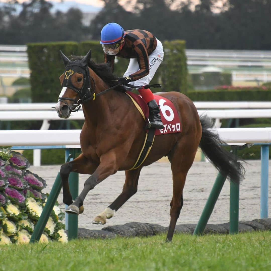 池添謙一さんのインスタグラム写真 - (池添謙一Instagram)「やっと片目開いた〜🐴 しかも重賞〜笑 ようやくスタートです🏇 ありがとうございました(^^) また来週から頑張ります‼︎ #日経新春杯#モズベッロ #毎年1つ勝つまでソワソワする」1月19日 20時14分 - kenchan.0723