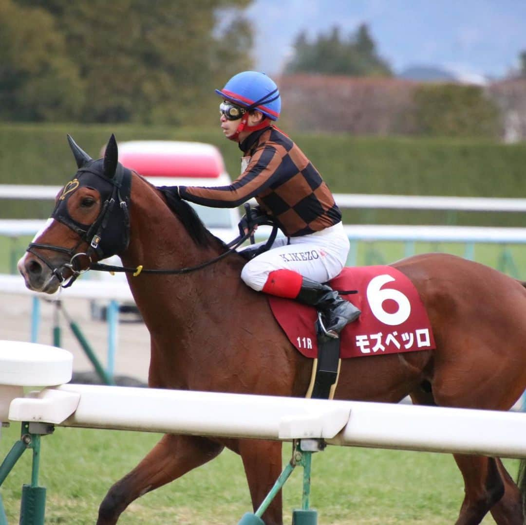 池添謙一さんのインスタグラム写真 - (池添謙一Instagram)「やっと片目開いた〜🐴 しかも重賞〜笑 ようやくスタートです🏇 ありがとうございました(^^) また来週から頑張ります‼︎ #日経新春杯#モズベッロ #毎年1つ勝つまでソワソワする」1月19日 20時14分 - kenchan.0723