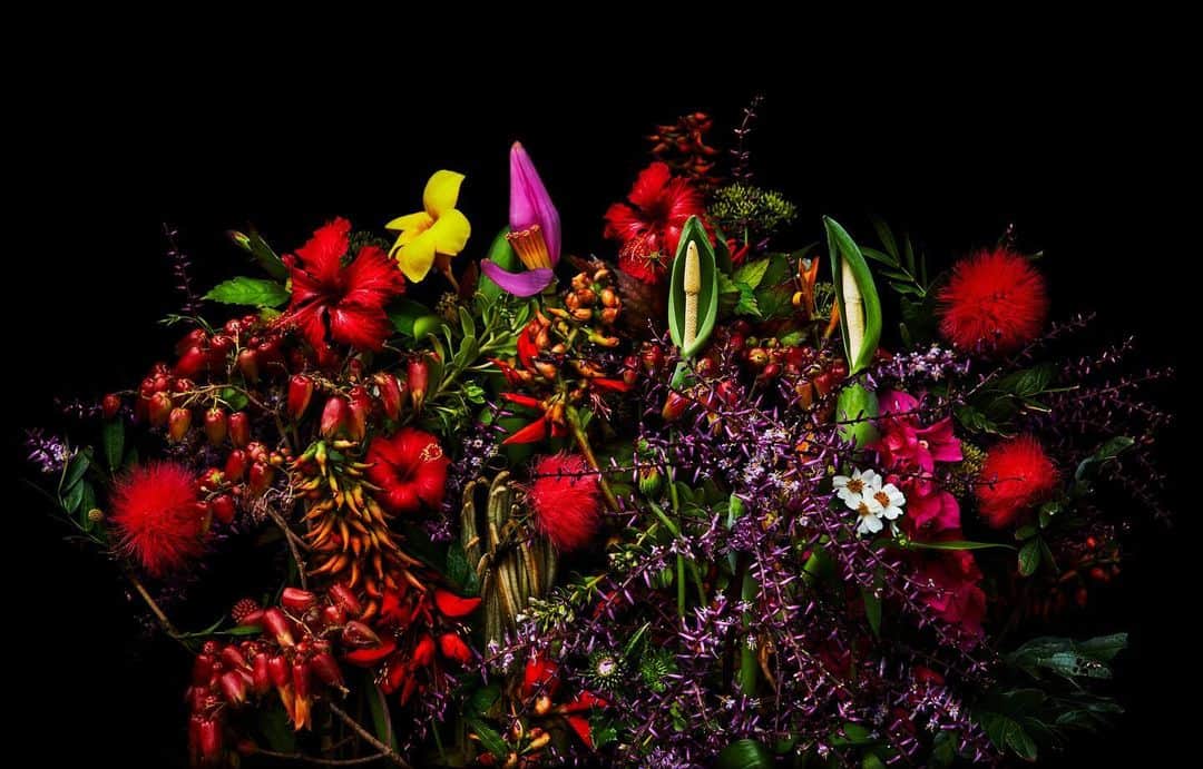 椎木俊介のインスタグラム：「Flowers #東信花樹研究所 #東信 #shiinokishunsuke #makotoazuma #azumamakoto #amkk #amkkproject #flowers #flowerart」