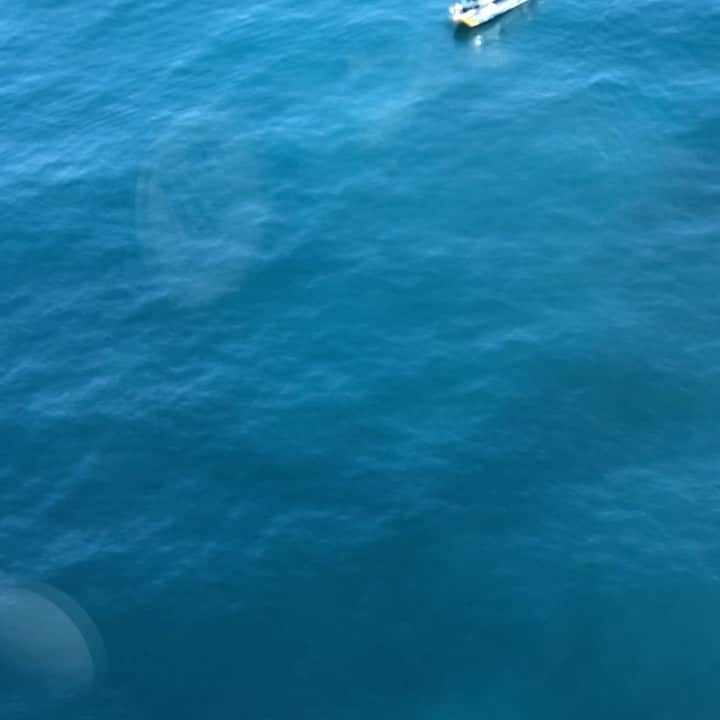 のインスタグラム：「Whale watching and captain in the same day!」