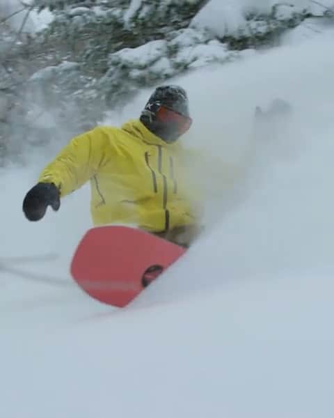 のインスタグラム：「本気ウインターきちゃうの？ #RidingIsTheReason #BurtonFamilyTree」