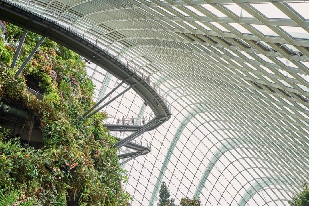 National Geographic Travelさんのインスタグラム写真 - (National Geographic TravelInstagram)「Photo by @chiaragoia | People walk on a footbridge in the Cloud Forest conservatory in Singapore. Located in a climate-controlled dome, the Cloud Forest aims to re-create a tropical mountain environment, with indoor waterfalls and rare plants and flowers.  Follow @chiaragoia for more images of unusual places. #cloudforest #singapore #controllednature」1月19日 14時10分 - natgeotravel