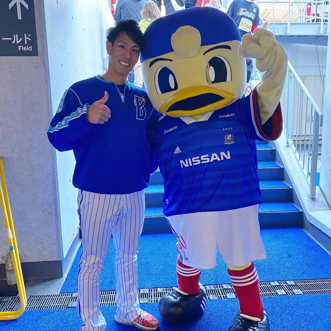 荒波翔さんのインスタグラム写真 - (荒波翔Instagram)「イイコトチャレンジのゲストとして日産スタジアムに行ってきました😆 皆さん頑張って走ってました🏃‍♂️🏃‍♀️ マリノスケも来てました⚽️ マリノスケの胸には4つの星が輝いてました⭐️ 今年はベイスターズも優勝👍 早くスターマン、チャピーにも会いたいなぁ〜😍 . #イイコトチャレンジ  #日産スタジアム #マリノスケ  #5時間リレーマラソン  #マラソン  #スターマン  #チャピー」1月19日 14時06分 - shoshoshonosho.4