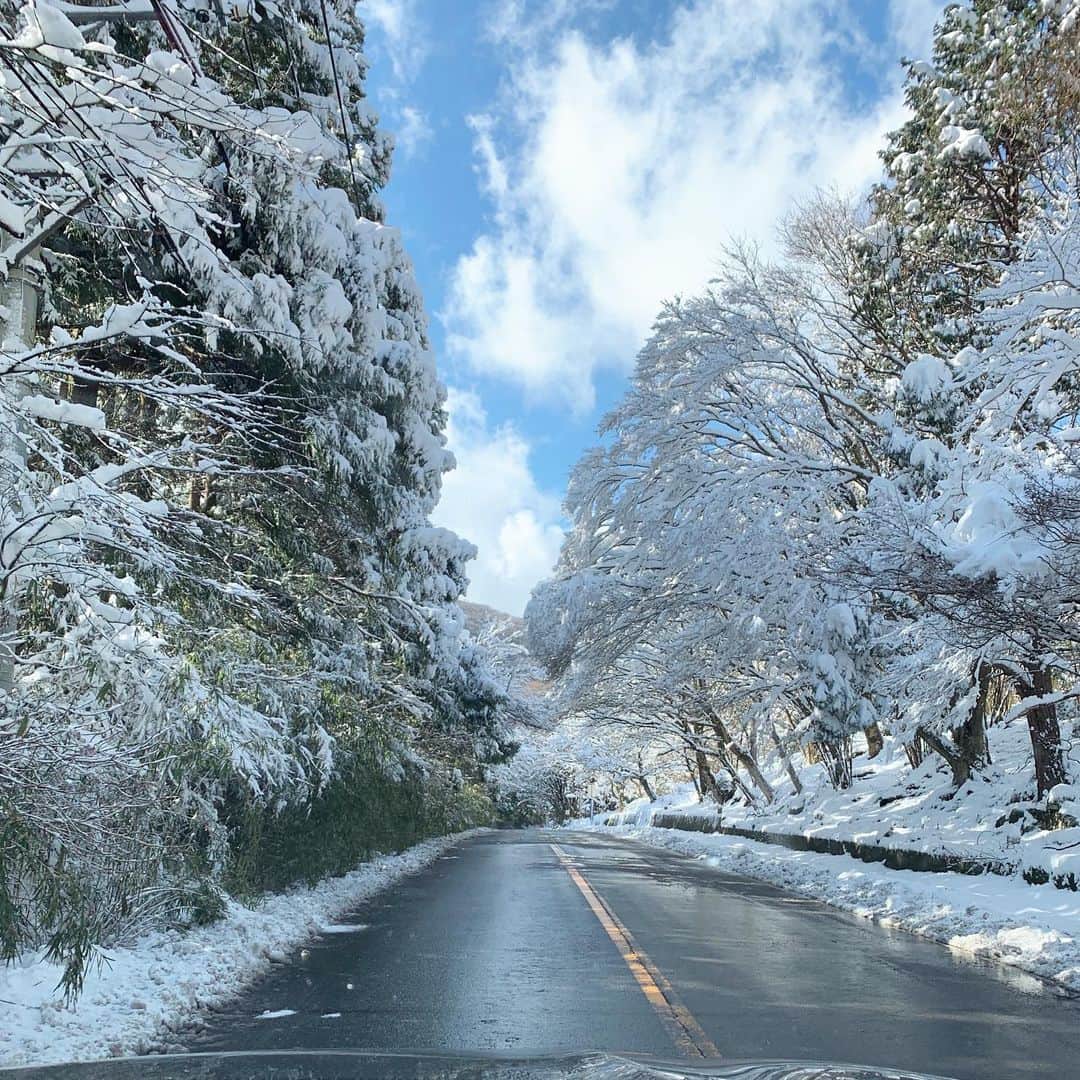 福井晶一さんのインスタグラム写真 - (福井晶一Instagram)「幻想的な景色 #オフ #ドライブ #雪道 #箱根」1月19日 14時35分 - shoichi.fukui
