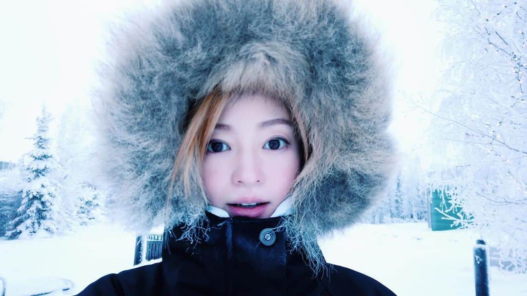 小林涼子さんのインスタグラム写真 - (小林涼子Instagram)「. dog sledding 🐕 #犬ぞり #イエローナイフ #カナダ #寒過ぎる #トコ旅 #オーロラ #frozen #snow #dogsledding #bucketlist #whiteworld #cold #yellowknife #aurora #canada #오로라」1月19日 20時39分 - ryoko_kobayashi_ryoko