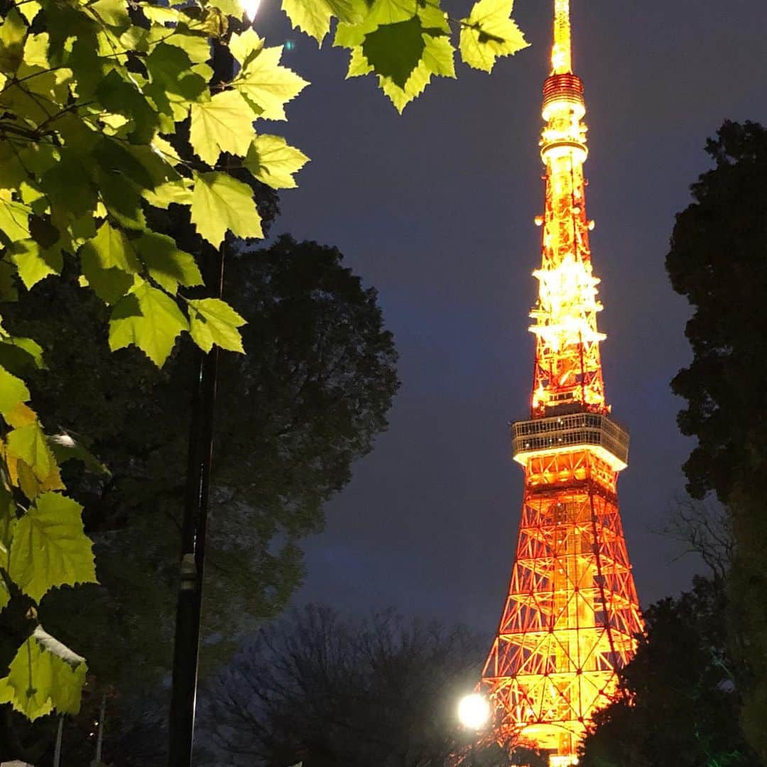 落合由佳さんのインスタグラム写真 - (落合由佳Instagram)「🗼 大好きな場所に誕生日に来られた🥰 . . #tokyotower #2020 #0119」1月19日 20時41分 - yuka.ocha