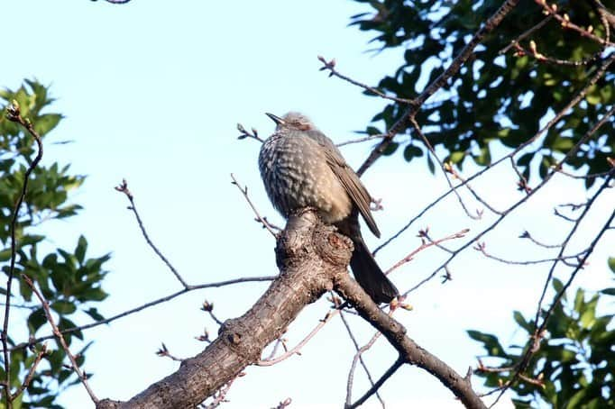 八芳園のインスタグラム