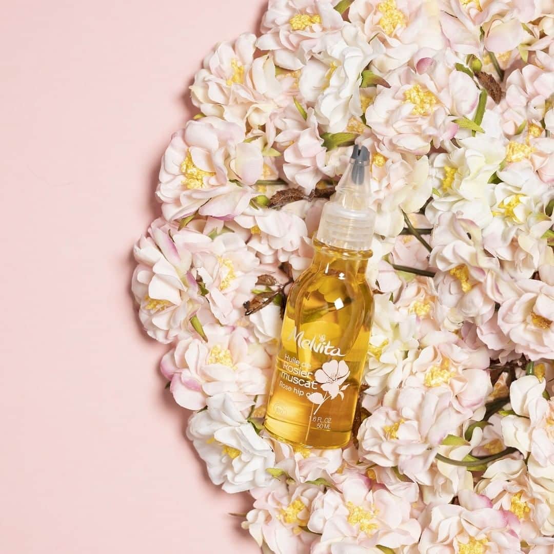 Melvita Officialのインスタグラム：「Huile de rosier muscat : un peu, beaucoup, passionnément, à la folie ? ✅ Elle est particulièrement concentrée en acides gras essentiels (Oméga 6 et 9), en caroténoïdes et en vitamine E. ✅ Elle est un allié de taille pour nourrir et régénérer les peaux fatiguées et dévitalisées. ✅ 100% du total des ingrédients est d’origine naturelle ✅ 99,8 % du total des ingrédients sont issus de l’agriculture biologique  Dites-nous si à quel point vous l’aimez ; un ❤️, deux ❤️❤️ ou trois ❤️❤️❤️ cœurs ?  #melvita #rosiermuscat #huilesvegetales #vergetures #realnotperfect」