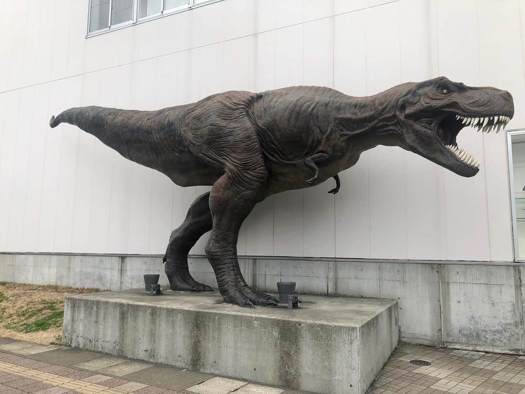 山田佑さんのインスタグラム写真 - (山田佑Instagram)「海外に行くと日本の良さがわかるみたいに﻿ 都会に行ってよりわかった田舎のよさ。﻿ ﻿ 何かあることが幸せということもあるけど﻿ 何もないことが幸せということも感じられるようになった。﻿ ﻿ ﻿ 実家がある御船町は昔恐竜がいたみたいで今も恐竜のまちとして恐竜博物館がある。﻿ ﻿ ﻿ 長い歴史の中で恐竜は絶滅してしまったが，今もなお化石や恐竜が生きてきた証が見つかるらしい。﻿ ﻿ ﻿ 人にも歴史があり，先祖が繋いできてくれた命が今の自分の命。﻿ ﻿ ﻿ 使う命と書いて使命と言うが、自分の使命、生きた証をしっかり残して残りの人生を生きたいと思う。﻿ ﻿ ﻿ #熊本県　#上益城郡　#御船町﻿ #上益城arフォトコンテスト﻿ #恐竜　#恐竜博物館﻿ #使命　#先祖 #山田が見た熊本」1月19日 17時11分 - yu_yamada639