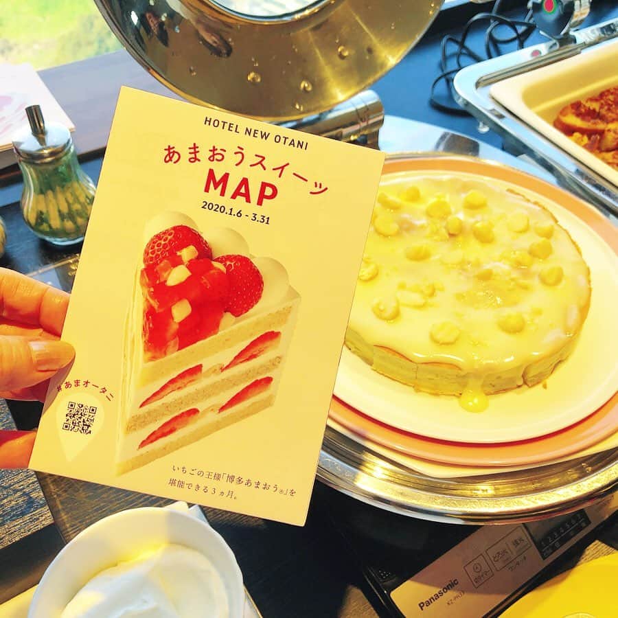 里井真由美さんのインスタグラム写真 - (里井真由美Instagram)「🍓🥞🍓 あまおうソースのマカダミアパンケーキ♡ ・ ・ ビュッフェなので丸いパンケーキからカットして頂きました〜🍓🥞もちもち生地と、いちごと練乳の濃厚マリアージュソースもおいしい♡ 🔻 🔻 ホテルニューオータニ東京 40階「タワービュッフェ」で、 @tanakaofficial モデルの田中里奈ちゃんプロデュースメニューです♡ @hotelnewotanitokyo ・ ・ ビュッフェだから、他のあまおうメニューも食べ放題♡ ・ ・ 3/31までは 全館で、あまおうスイーツフェア開催してます♡ 食べあるキングのコラボスイーツ召し上がってみてね ・ ・ 🍓館内のあまおうスイーツマップもあるよ🍓 ・ ・ ニューオータニであまおうスイーツ召し上がったら、ハッシュタグ #あまオータニ と場所@hotelnewotanitokyo  付けて投稿すると、プレゼント当たるチャンスあります❗️💪😆 ぜひに♡ ・ ・ 40階 見晴らしええわぁ♡ ビュッフェランチ、おすすめです🍓 ・ ・ #あまオータニ#ニューオータニ東京 #ニューオータニ#あまおう#いちご#田中里奈#里井真由美#食べあるキング #さといいね#栗スイーツ#デパ地下#ホテルスイーツ#デパ地下スイーツ#ホテル#ありが糖運動#まゆログ#フードジャーナリスト里井真由美#いちご🍓 #苺#タワービュッフェ」1月19日 17時40分 - mayumi.satoi
