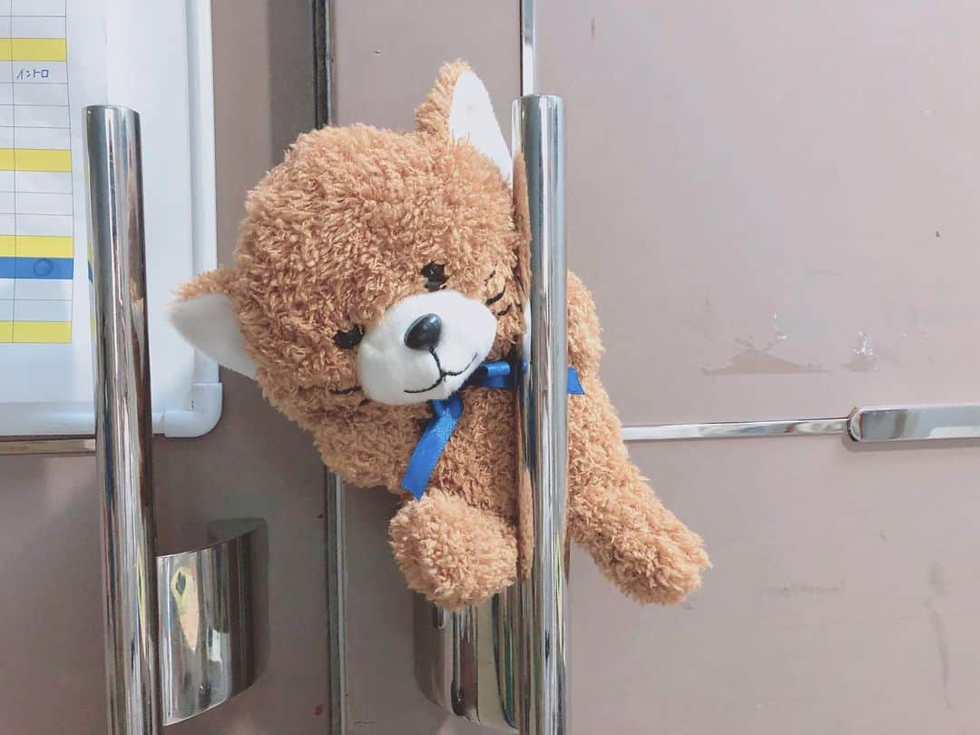 のインスタグラム：「🧸❤︎ これはくまさんかねこちゃんか なんだろう🤔」