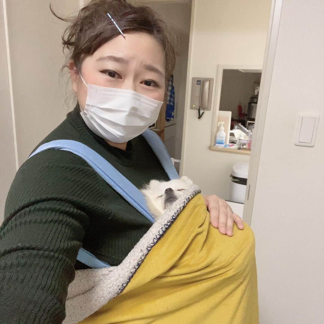 やしろ優さんのインスタグラム写真 - (やしろ優Instagram)「クンクン言って掃除はかどらないから、抱っこひもで包んであげたら 寝ちゃった☺️❤️ これもこれで作業しづらい笑笑🤣🤪」1月19日 18時16分 - yashiroyuuuu