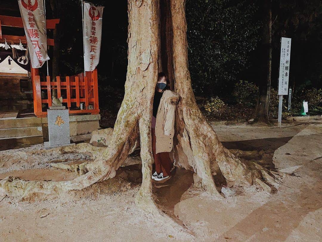 井上志帆子さんのインスタグラム写真 - (井上志帆子Instagram)「🌳 大相撲八日目終わって…どうなるのか…🌸🥦🐕」1月19日 18時24分 - shiriko0316