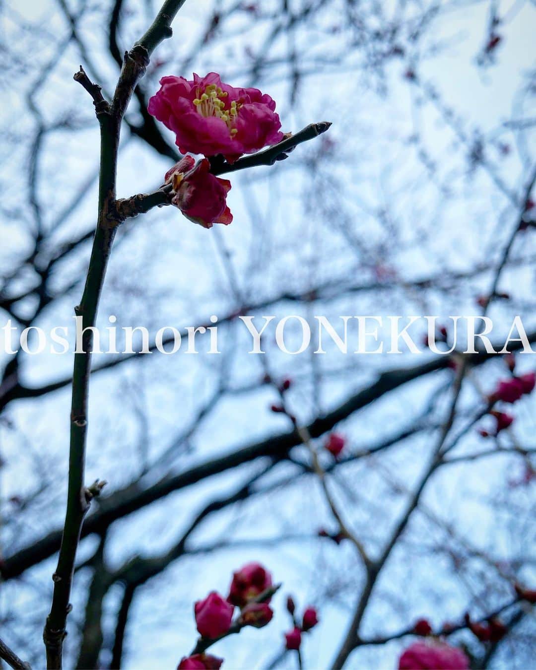 米倉利紀さんのインスタグラム写真 - (米倉利紀Instagram)「春よ、こい😜」1月19日 18時32分 - toshi_yonekura