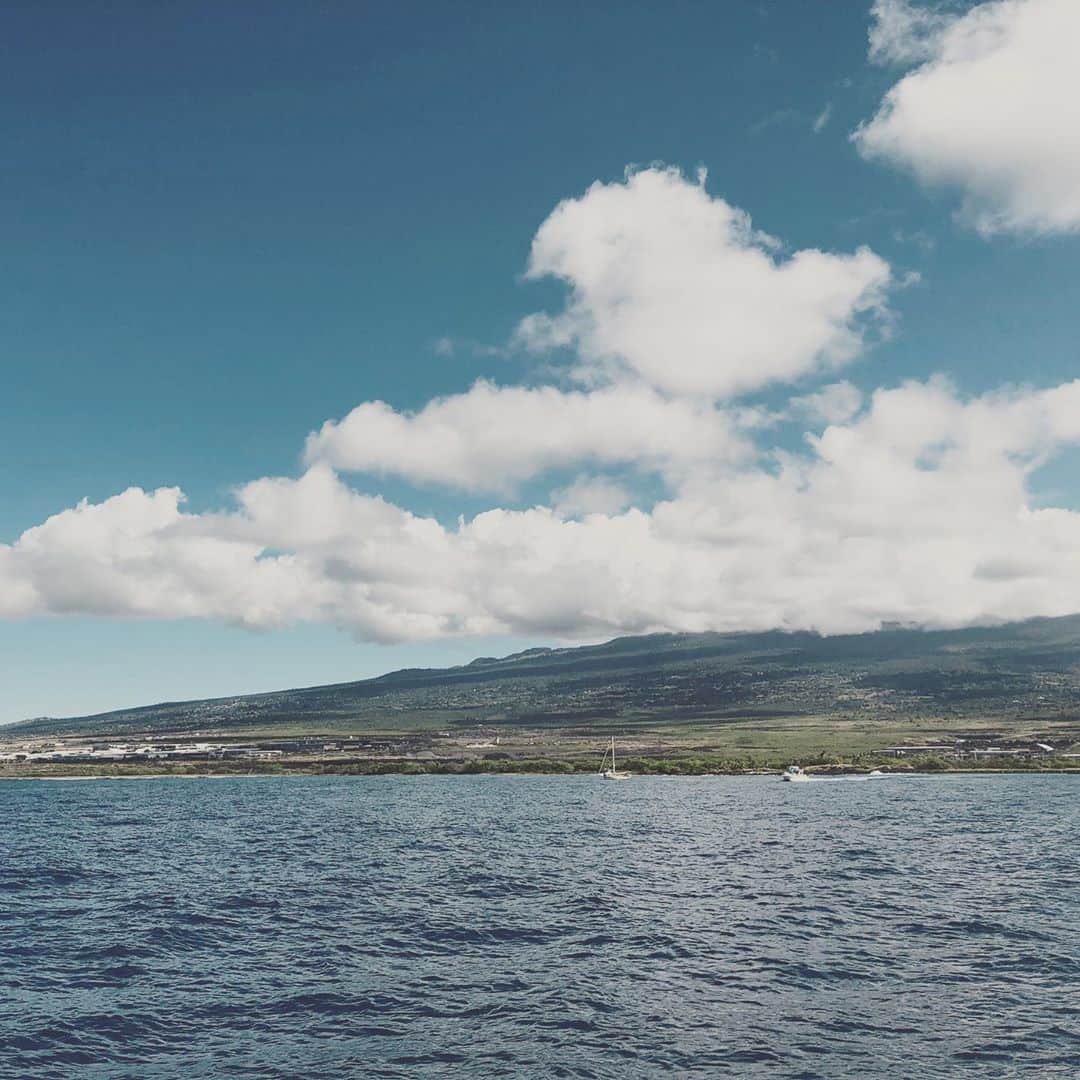 瀬下豊さんのインスタグラム写真 - (瀬下豊Instagram)「やっぱり海って最高やね！ 海から見る島の景色も一段とええなぁ！！ #浜ちゃん後輩と行くハワイ島で休日  #イルカと鯨見れるかなぁ？」1月19日 18時37分 - tjkseshita
