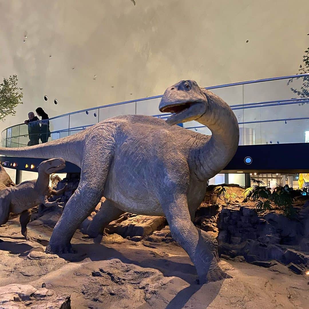 濱田卓実さんのインスタグラム写真 - (濱田卓実Instagram)「#濵田家の休日  初めて恐竜博物館へ行ってきました！ しかも入場料無料の日だったのでお得感満載！  #福井 #恐竜博物館」1月19日 18時48分 - hama0114