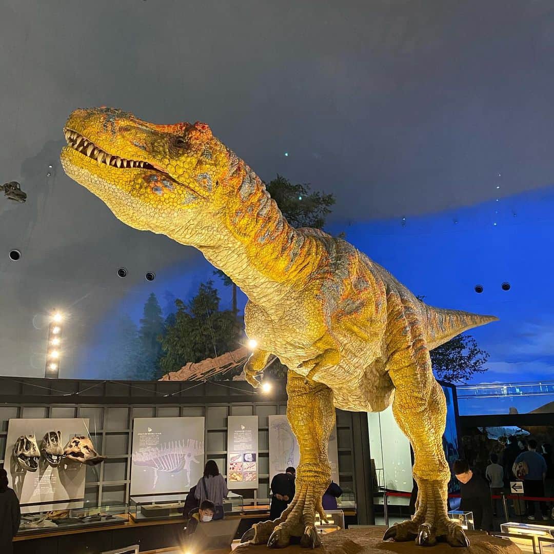 濱田卓実のインスタグラム：「#濵田家の休日  初めて恐竜博物館へ行ってきました！ しかも入場料無料の日だったのでお得感満載！  #福井 #恐竜博物館」