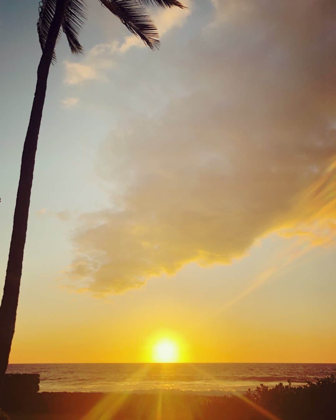 のインスタグラム：「"Big Island"sunset🤙 Very beautiful scenery☺️ #浜ちゃん後輩と行くハワイ島で休日  #浜田雅功 #ライセンス井本 #どりあんず #サカイストマサヨシ #プラスマイナス岩橋  #チーモンチョーチュウ菊地  #天竺鼠瀬下 #ハワイ島 #サンセット #大阪チャンネル #hawaii  #hawaiiisland #bigisland  #bigisrandhawaii #sunsetbigisland」