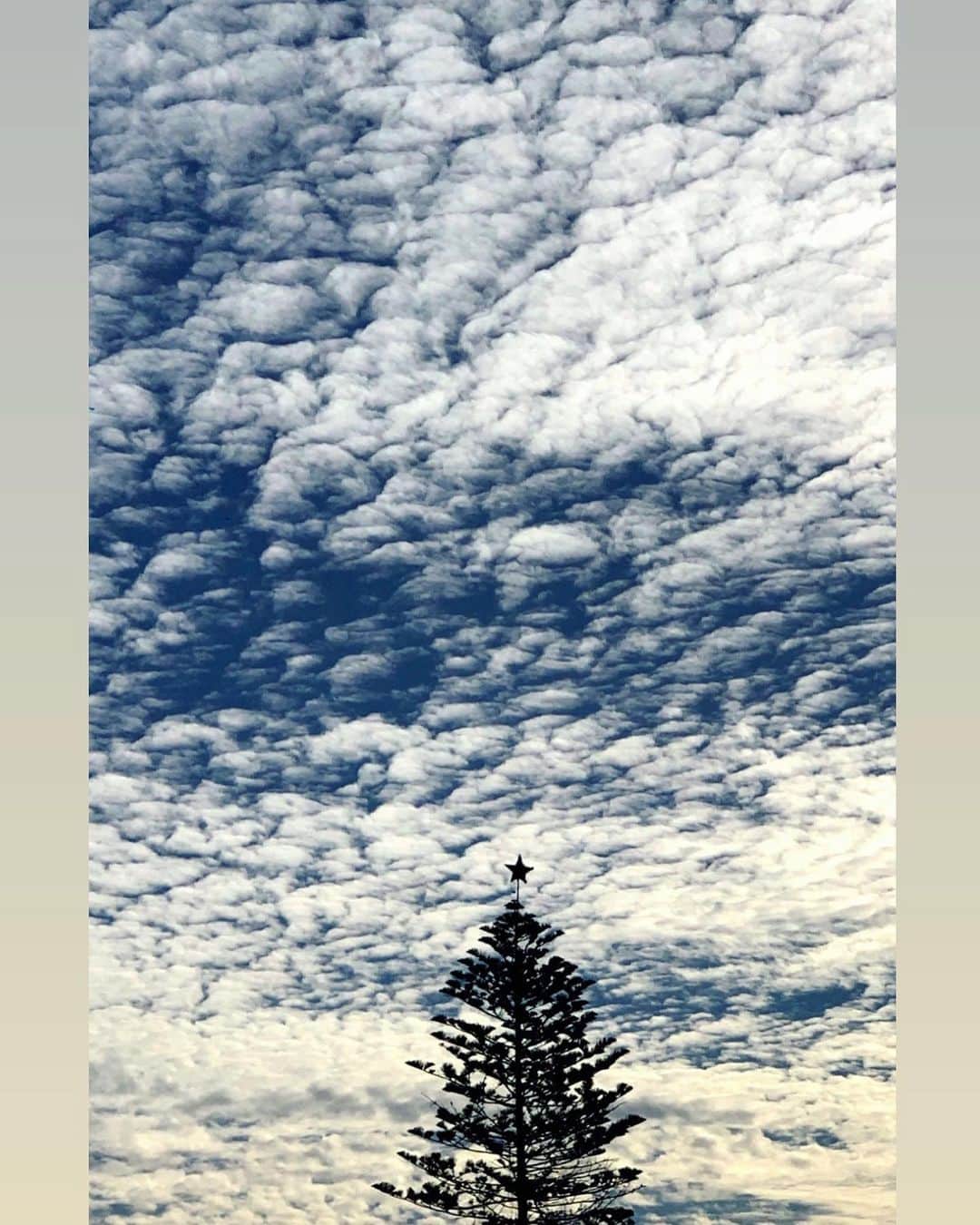MINMIさんのインスタグラム写真 - (MINMIInstagram)「「今日の雲すごいね」ってアイが朝言ってきた。眠すぎてちゃんと聞いてなかった朝。写真撮らせてって言うから携帯を渡してまた寝たんだ。後でカメラロールに素敵な空が映ってた  ありがとう。こんな綺麗な 雲だったんだねー☺️✨ これはステキな発見見逃したね 。 "ママー見てみて！" 三人分のその声全部ちゃんと 拾ってあげれたら、、、 @airatokyo  が撮った写真」1月20日 4時43分 - minmidesu