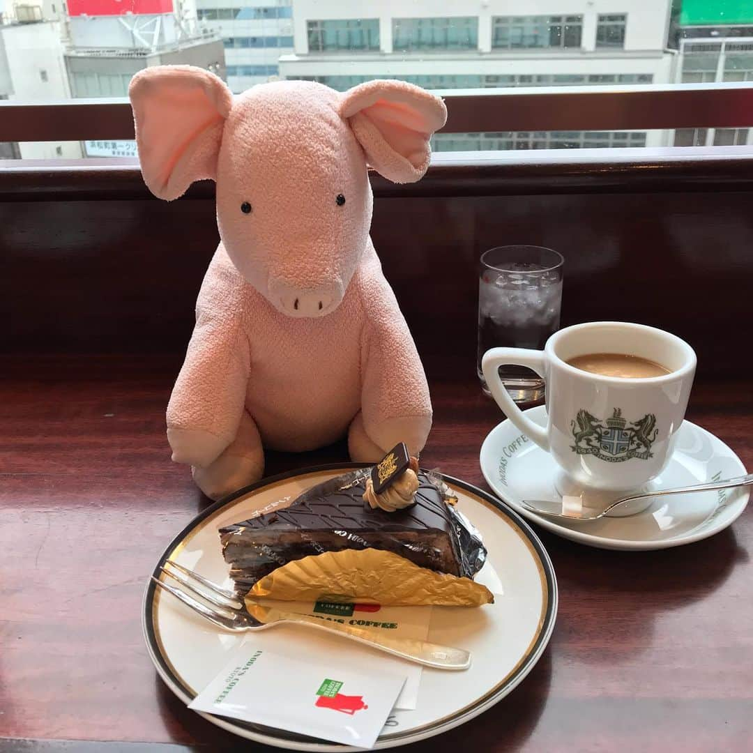 矢崎存美さんのインスタグラム写真 - (矢崎存美Instagram)「大丸のイノダコーヒでケーキまで食べちゃったよ〜。 #ぶたぶた #山崎ぶたぶた #矢崎存美 #大丸東京 #イノダコーヒ #コーヒー #ケーキ」1月19日 20時49分 - yazakiarimi