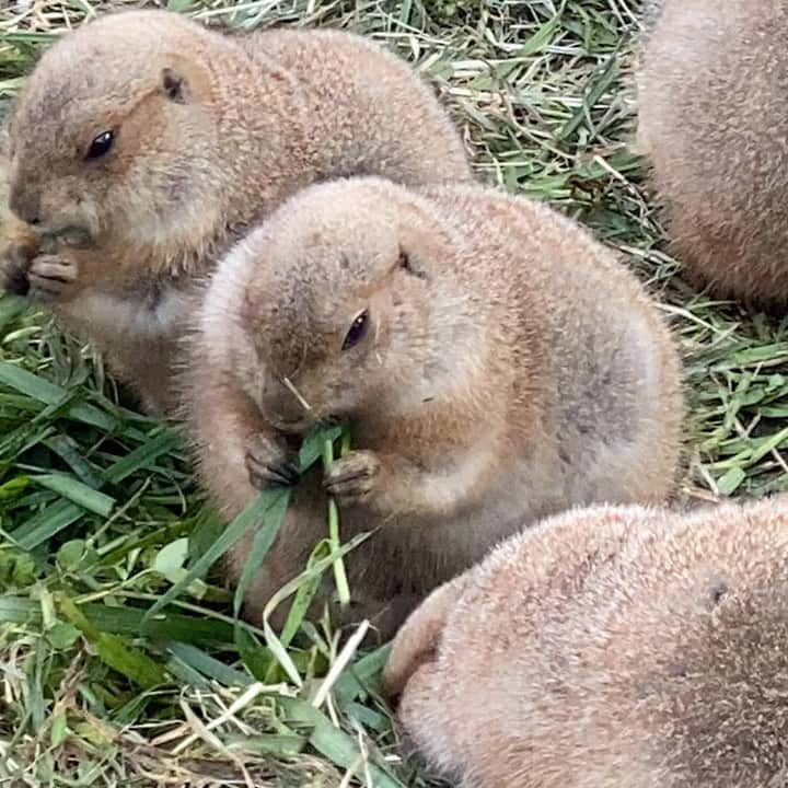 奥田恵梨華のインスタグラム