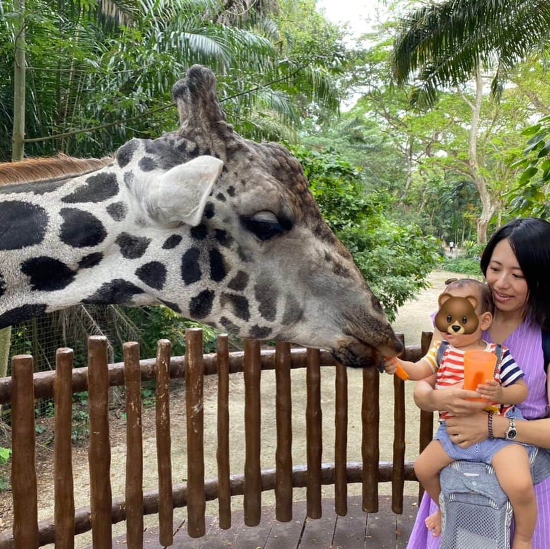 大西蘭のインスタグラム