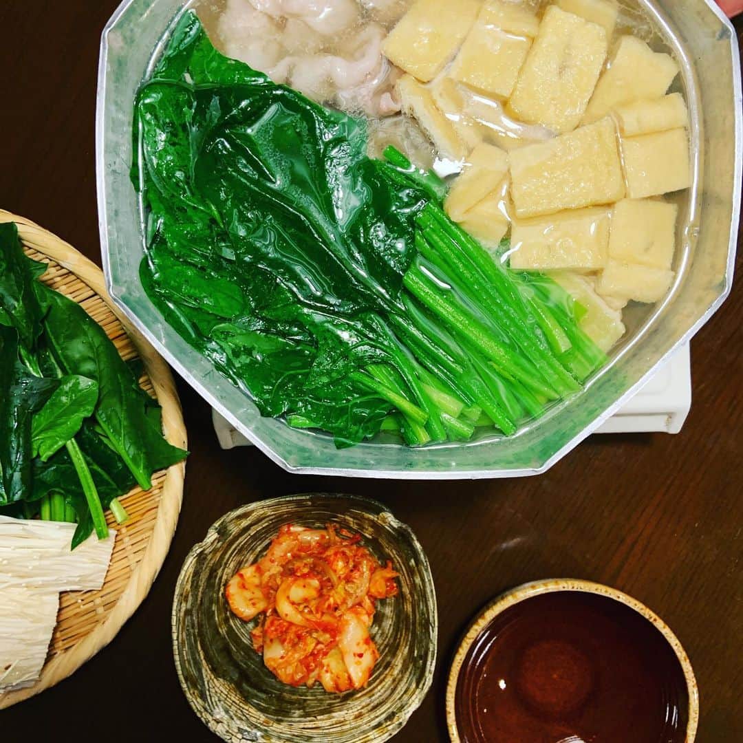 志摩有子さんのインスタグラム写真 - (志摩有子Instagram)「白だしを水で薄めて、にんにくひとかけ放り込んで、豚ばら肉、お揚げ、ほうれん草をさっと煮るだけ。そのままでも美味しいけれど、ポン酢をたらして、キムチと一緒に食べるといくらでもいける。シメはうどんで。 #白だし鍋 #簡単美味しい」1月19日 21時54分 - ariko418