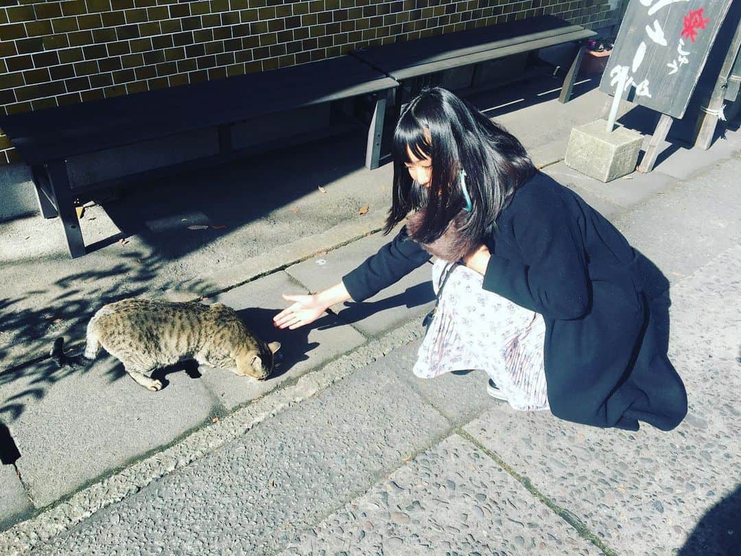 中村千尋さんのインスタグラム写真 - (中村千尋Instagram)「#猫　と」1月19日 22時03分 - nanakanakamurachihiro