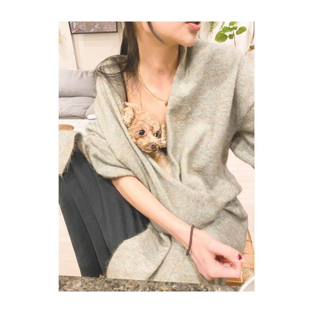 串戸ユリアさんのインスタグラム写真 - (串戸ユリアInstagram)「さいきんいっしょ♥️ こちらはもんちゃん。 人懐っこくてすごく優しい子☺️ @balletbybacklash のニットのカラーとすごいあう。笑  #かわいいいぬ  #ご近所物語」1月19日 22時05分 - yuriavodka